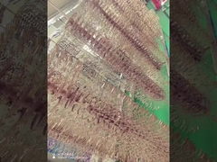 سبيكة التيتانيوم إطارات النظارات آلة طلاء PVD