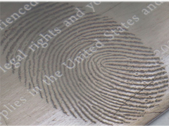 نظام تعديل الفراغ العالي، وحدة طلاء التبخر الحراري لتحديد بصمات الأصابع